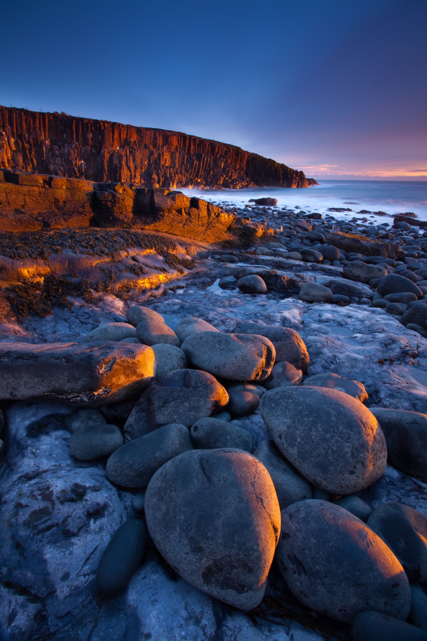 England, Northumberland, Cullernose Point.